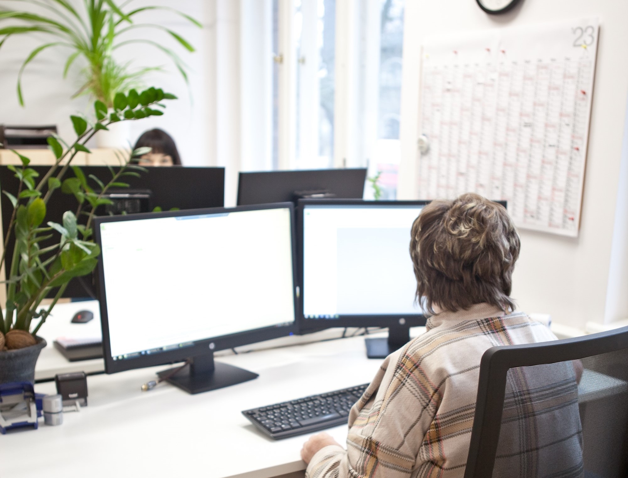 Zwei Personen an Schreibtischen mit Computern, Pflanzen im Büro – Arbeitsalltag.
